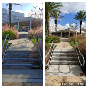 Appearance and cleanliness is one of the top factors when choosing where to live and shop. Wilson Exterior Cleaning provides top quality service for commercial buildings and apartment complexes in Gainesville Florida and surrounding areas.