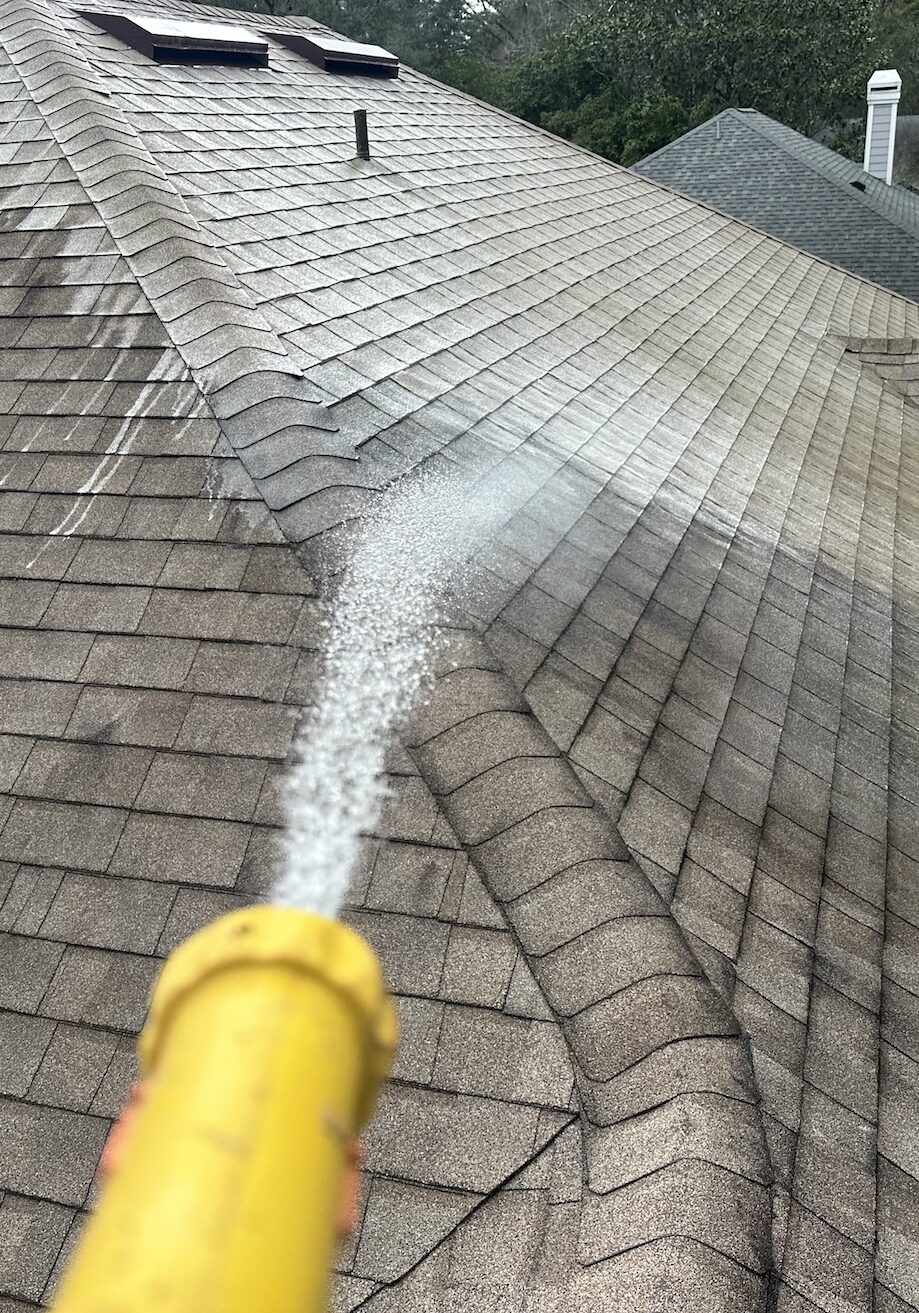 Commercial Roof Cleaning in Gainesville FL by Wilson Exterior Cleaning